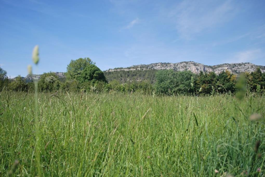 Le Cabanon Tendance Du Luberon Mérindol エクステリア 写真